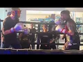 Download Lagu 😱 🔜LARRY SIWU VS ROY TUA, 🔥KASIH KERAS‼️PERSIAPAN LAWAN SAROHA, SPARRING HARD PETINJU AUSTRALIA