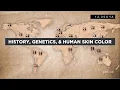 Evo-Ed History Genetics and Human Skin Color