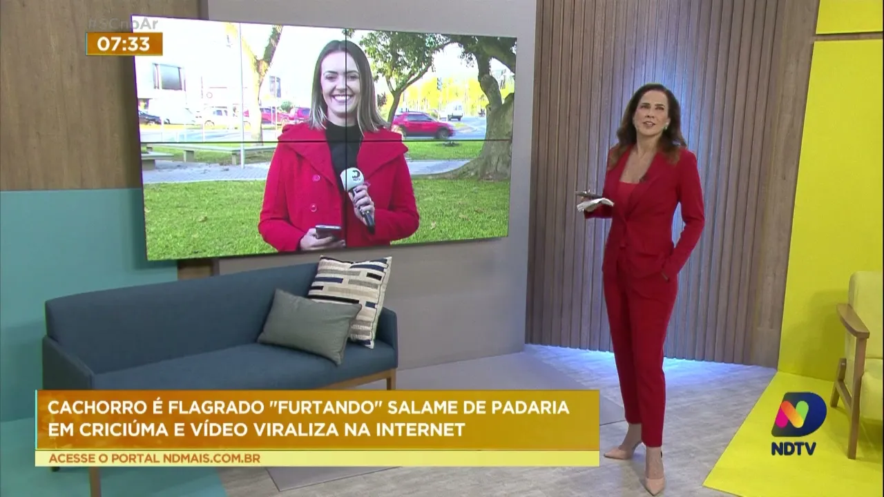 Cachorro é flagrado "furtando" salame de padaria em Criciúma