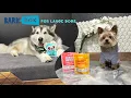 Bark Box for Large dogs review