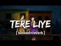 Tere Liye [Slowed+Reverb] - Atif Aslam,Shreya Ghoshal | Vivek Oberoi | Musiclovers | Textaudio |Lofi