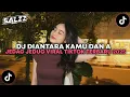 Download Lagu DJ DI ANTARA KAU DAN AKU JEDAG JEDUG VIRAL TIKTOK TERBARU YANG KALIAN CARI 2025!!