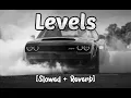 Levels [Slowed + Reverb] || Sidhu Mose Wala || Attitude remix🥀 Bass Boosted🎵