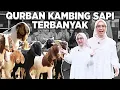 Download Lagu QURBAN SAPI \u0026 KAMBING TERBANYAK..