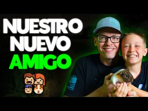 A1: lição de listening — Datos curiosos sobre los Guinea Pigs | Pensando Inglés