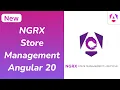 How to quickly set up the NgRx Store in your Angular 20 project NgRx Store