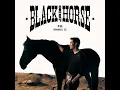 黑马 - Black Horse - Ronghao Li