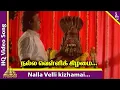 Download Lagu Nalla Velli Video Song | Sakkarai Devan Movie Songs | Vijayakanth | Sukanya | Kanaka | Ilayaraja