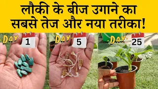  fastest method of bottle gourd seed germination in hindi