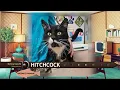 Pet Connect - 25