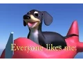 Download Lagu Dog of Wisdom