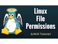 Linux File Permissions Commands with Examples - Linux Tutorial 6