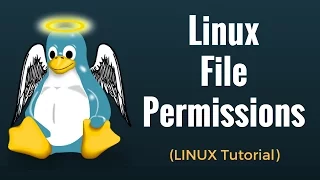 Linux File Permissions Commands with Examples - Linux Tutorial 6