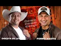 Download Lagu CHICOTE DE LUXO 2025 FORRÓ XICOTA CD RELÍQUIAS XOTE ATUALIZADO 🔥