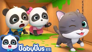 Desafío en Equipo | Canciones Infantiles | Videos para Niños | BabyBus en Español