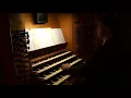 Franz Josef Stoiber: Mein Hirt ist Gott der Herr (Improvisation) | DOMORGEL ESSEN