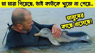 মা নেই, তাই কাউকে খুজে না পেয়ে মানুষের কাছে এসেছে অভিযোগ করতে !