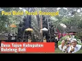 Download Lagu Pura Bukit Pucak Sinunggal || Desa Tajun Kabupaten Buleleng Bali || Tirta Yatra