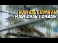 Download Lagu MASTERAN KAPAS TEMBAK GURU TERBAIK! MASTERAN TERBAIK!