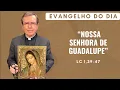 Lagu EVANGELHO DO DIA 12/12 (5ªfeira): NOSSA SENHORA DE GUADALUPE Lc 1,39-47