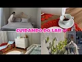 Download Lagu VOLTEII + TROCANDO AS ROUPAS DE CAMA E MUITAS COMPRINHAS 💞