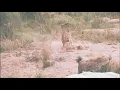 Subreachers - The Creator