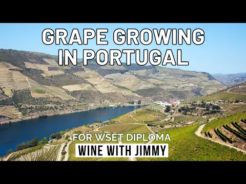 Exploring the Wonders of Portuguese Wine: Climate, Soils, and Vineyard Management