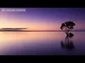 Daddy Yankee FT Omar Courtz - Beachy(RP)