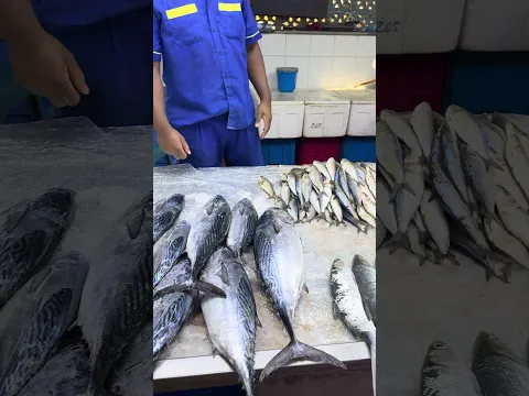 PASAR IKAN SEGAR YANG MURAH DI JEDDAH