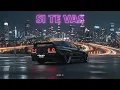 Si Te Vas (Turreo Edit) - Qyro B