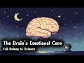 Emotions and the Limbic System Documentary for Sleep
