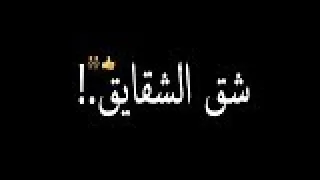 حالات واتس شق الشقايق انت اللي فايق دندنها