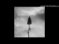 Manchester Orchestra - The Silence