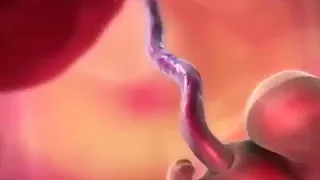 UKUAJI WA MTOTO TUMBONI JIONEE VIDEO PIA USISAHAU SUBSCRIBE CHANNEL YETU 