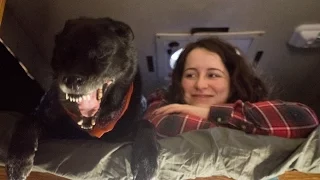 A New Visitor – Pushing North 20