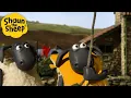 Lagu Ship Sheep! 🐑 Shaun the Sheep 🐑  - Cartoons for Kids 🐑 Full Episodes Compilation [1 hour]