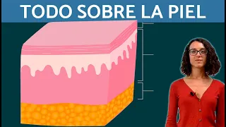 LA PIEL EXPLICADA: Sentido del tacto, capas y células ✋