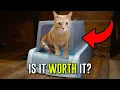 What To Expect With The PetSafe ScoopFree Self-Cleaning Cat Litter Box