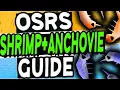 The Ultimate Fishing Guide Old School Runescape