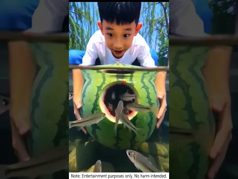 watermelon fish catching 🤣 #funny #funnyvideo