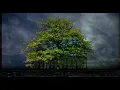 Barber's Adagio for Strings (Ferry Corsten Remix) - William Orbit