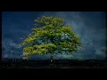 Download Lagu William Orbit - Adagio For Strings (Ferry Corsten Remix Radio Edit) [OFFICIAL MUSIC VIDEO]