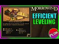 Efficient Leveling Leveling Up With Alchemy - How to Play Morrowind Pt 3