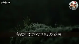  و ل و  ي ر ى ال  ذ ين  ظ ل م وا إ ذ  ي ر و ن  ال ع ذ اب  أ ن   ال ق و  ة  ل ل  ه  ج م يع ا  منشاوي دندنها
