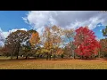 Bald Mountain Recreation Area Michigan Oct 2020