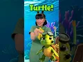 Teach Your Baby TURTLE in Baby Sign Animals for Kids Toddler Learning