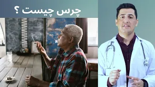 Doctor Hamed چرس چیست و چگونه آن را میتوان ترک کرد داکتر حامد What Is Cannabis Or Hashish 