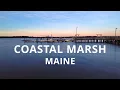 Coastal Marsh Pine Point Maine DJI Mini 2 4K Cinematic Drone