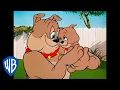 Download Lagu Том и Джерри | Спайк, папа года. | WB Kids