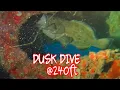 Download Lagu DUSK DIVE at 240ft / WW2 Destroyer Shipwreck